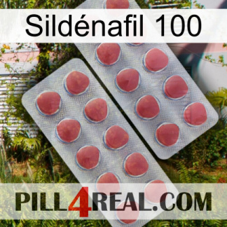 Sildénafil 100 19